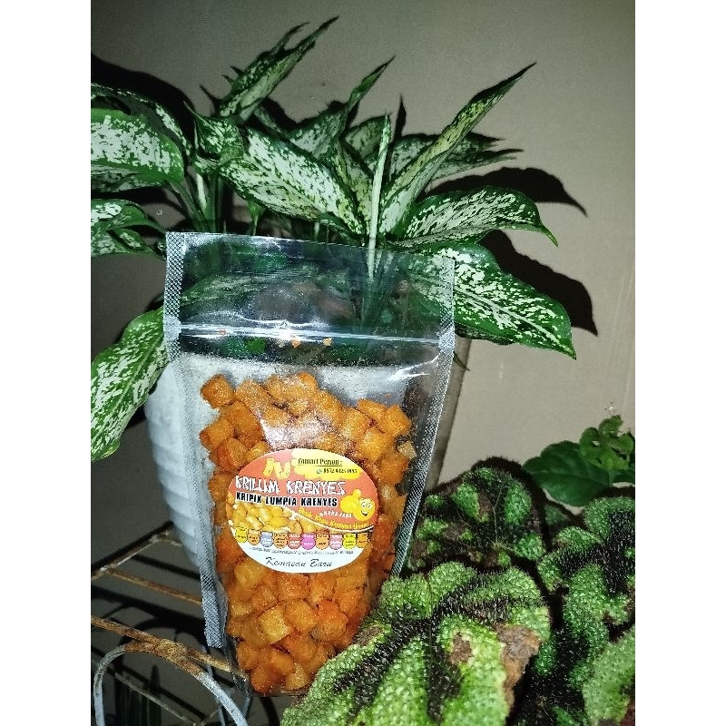 

Keripik lumpia kemasan 150gr