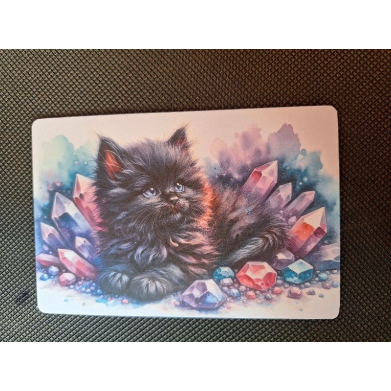 

2 macam kartu pos kucing/cat Postcard