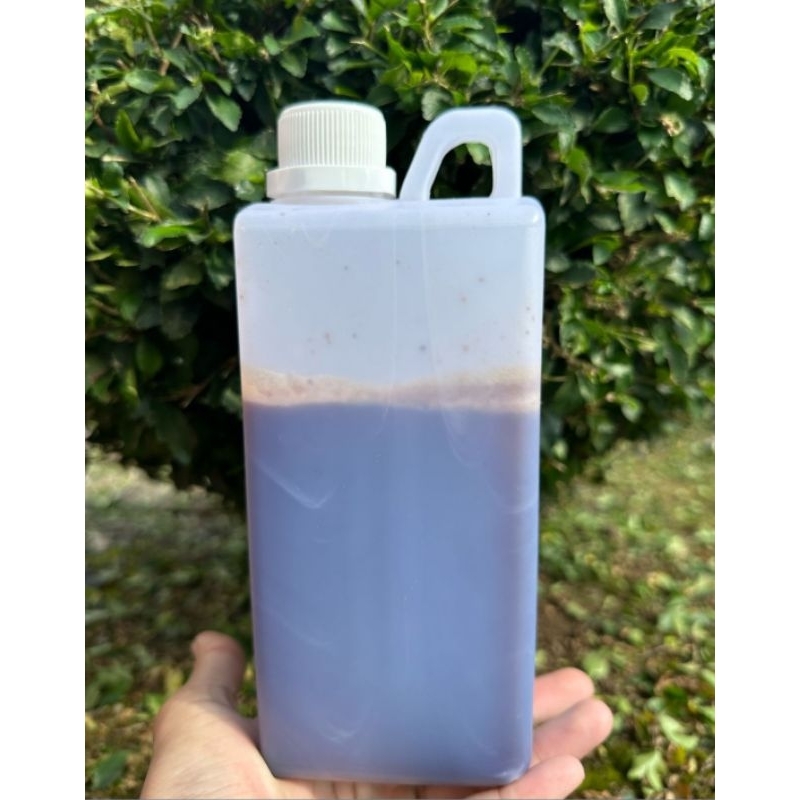 

Madu Hutan Liar Sialang 1kg Raw Honey 100%