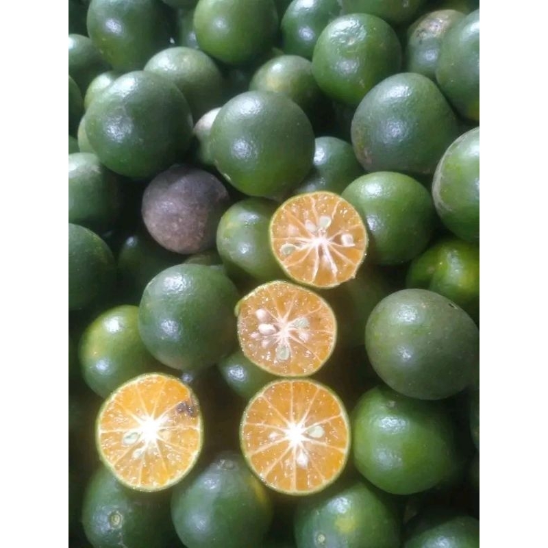 

JERUK PERAS MANIS SEGAR FRES 1KG