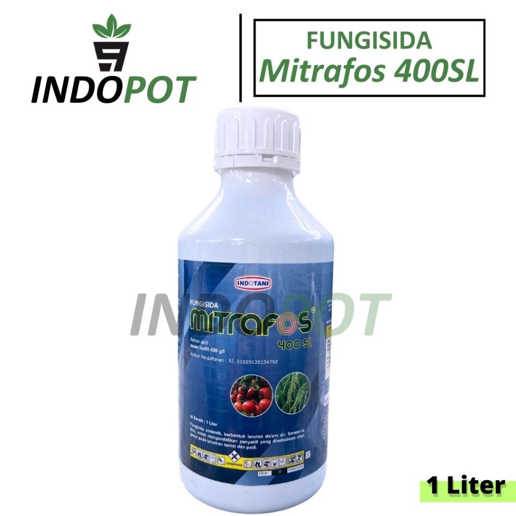 Fungisida MITRAFOS 400SL Pengendali Penyakit Antraknosa Tanaman Padi Tomat