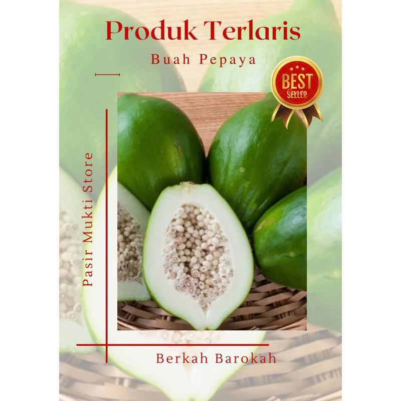 

New Promo Buah pepaya muda papaya sayur obat herbal