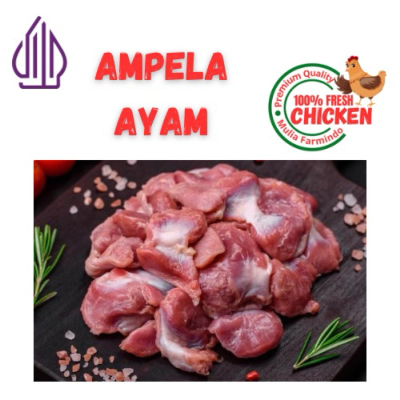 

AMPELA AYAM / AMPLA AYAM