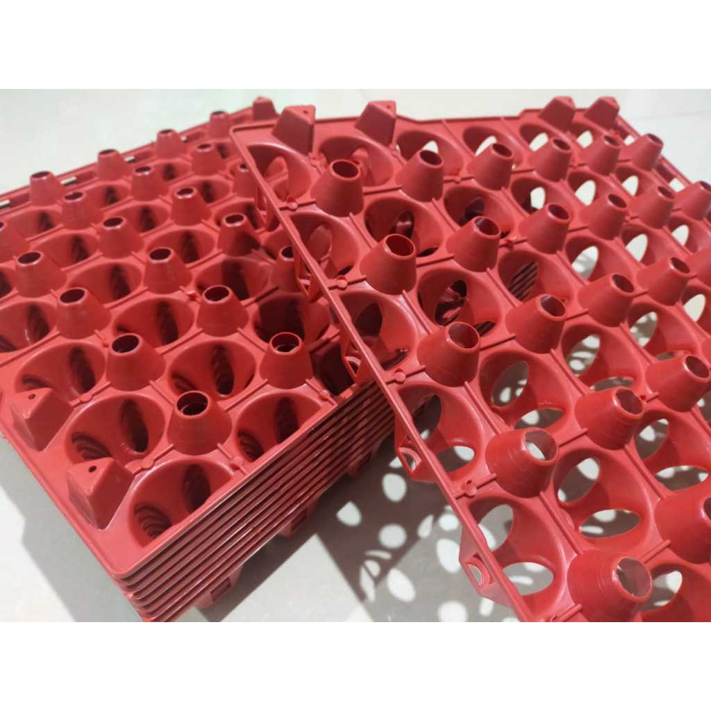 Tempat Telur Plastik Tray 30 butir Keranjang Telur Rak Telur Plastik TRay 30 Butir Rak Telor Plastik