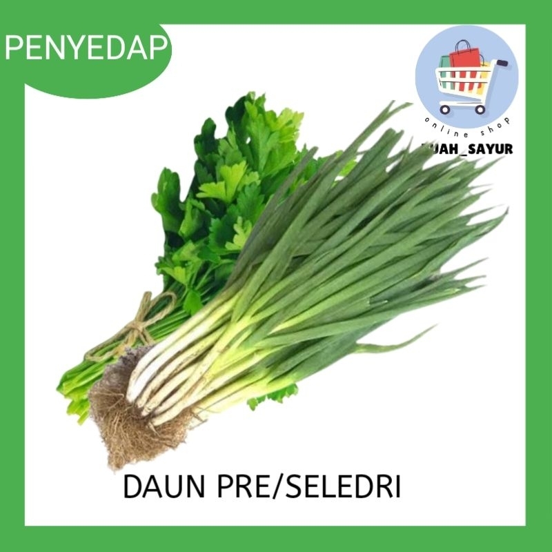

DAUN PRE DAN SELEDRI