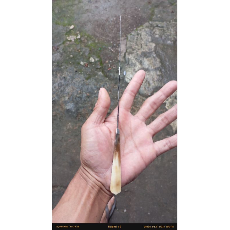 joran pancingan wader 30cm, 50cm dan 70cm dari tanduk dan viber optik lentur  sangat kuat