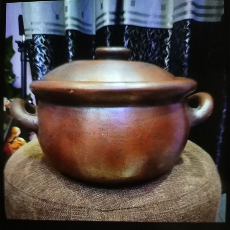 PROMO PANCI TANAH LIAT 23 CM PANCI REBUS NATURAL PANCI JAMU TRADISIONAL