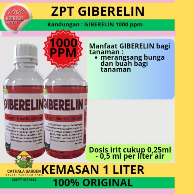 ZPT HORMON GIBERELIN GA3 1000 PPM KEMASAN 1 LITER | HORMON BUNGA DAN BUAH