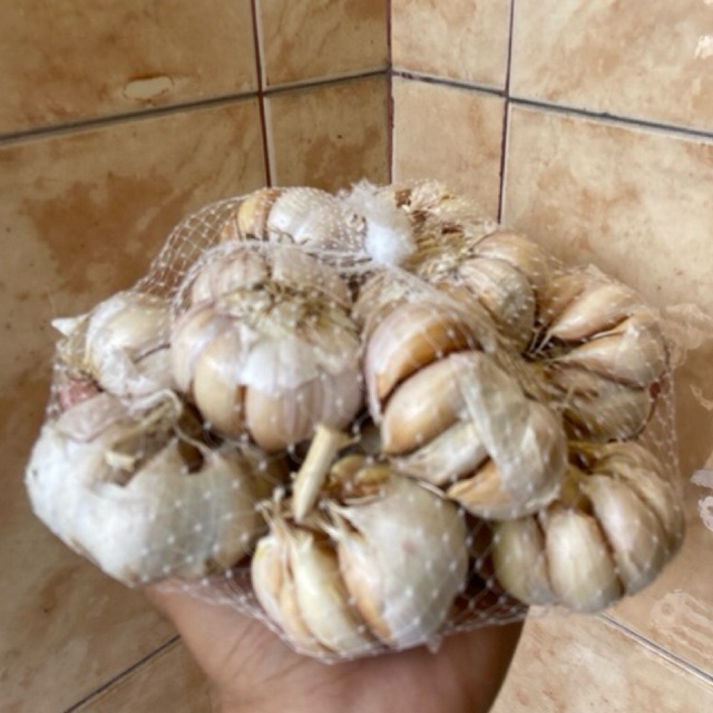 

bawang putih honan fresh 1kg