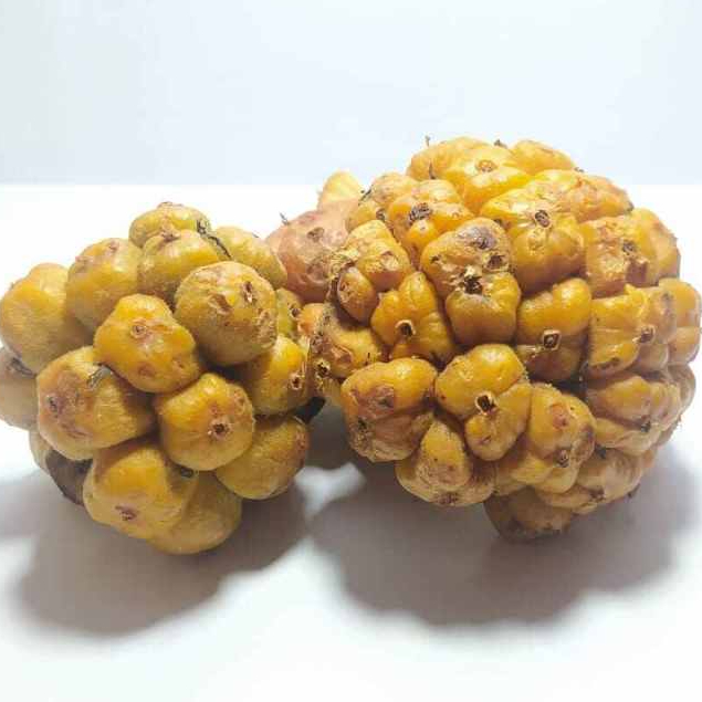 

Asam Cikala Asam Sihala Asam Arsik Bumbu Khas Medan 1 kg