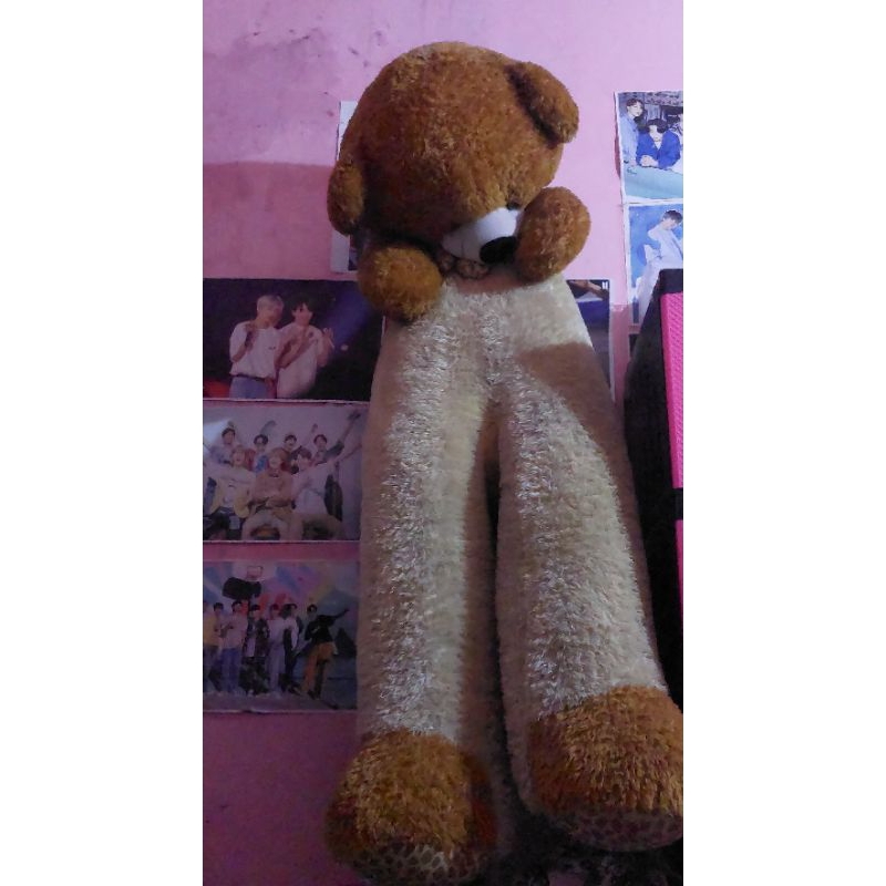 boneka beruang jumbo 2 meter