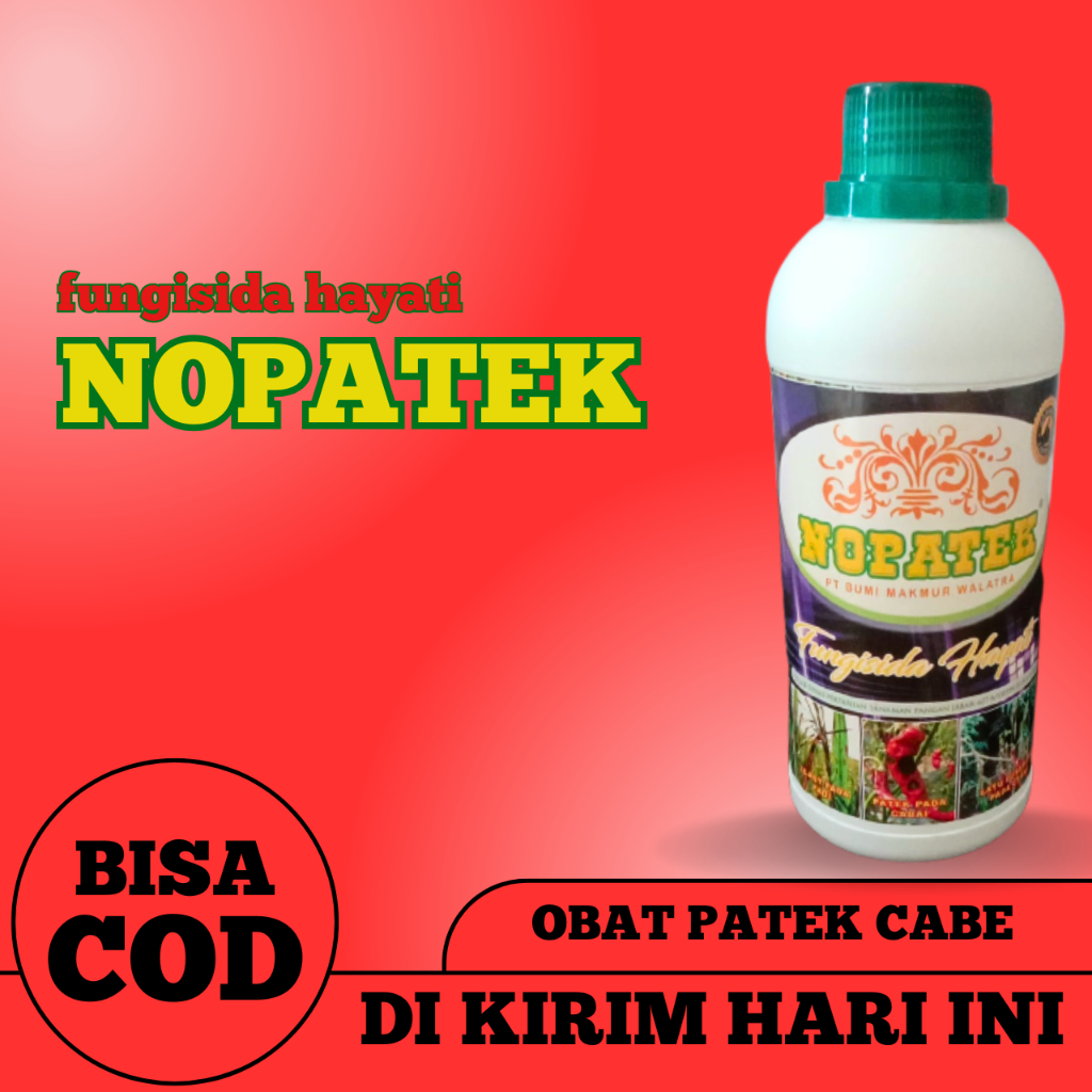nopatek / fungisida hayati / obat patek cabe