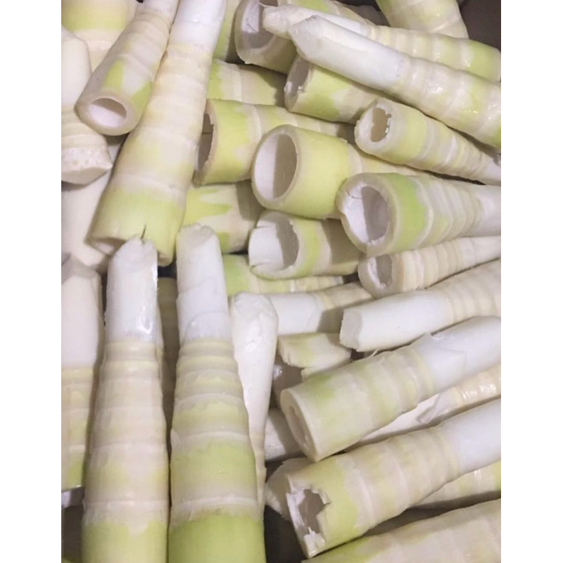 

Rebung Segar 500gr