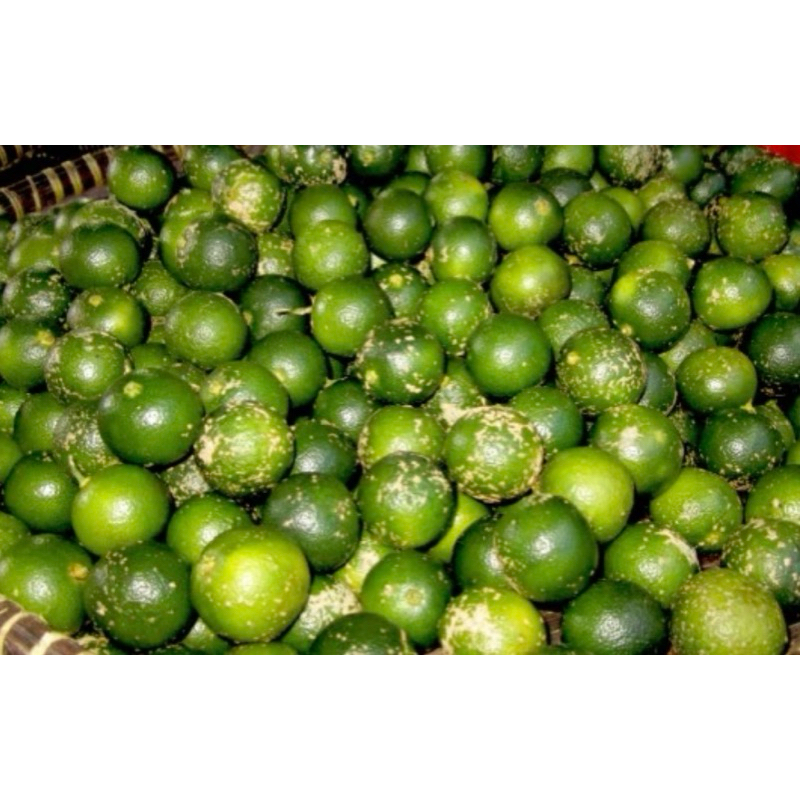 

jeruk sambal / Sonkit