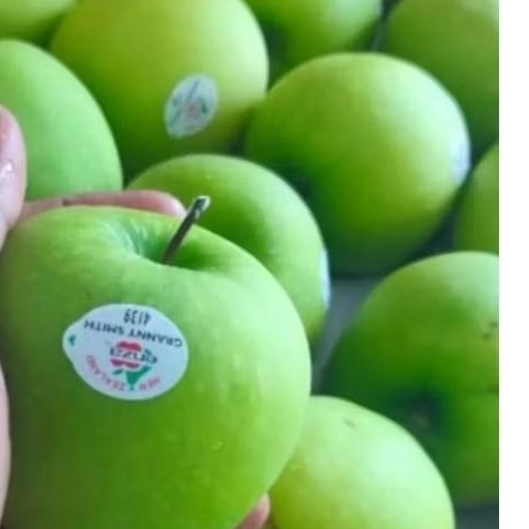 

apel ijo green smith 1 kg