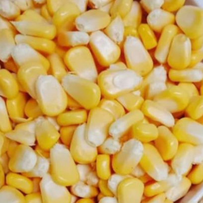 

Grosir 500 gram Jagung Pipil Frozen