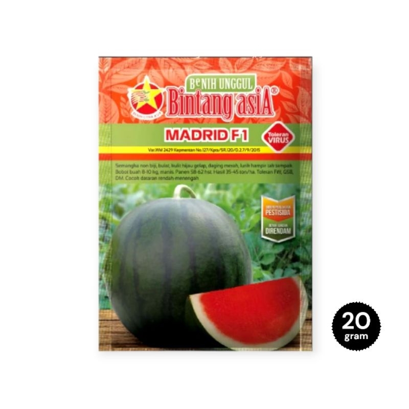 MADRID F1 Benih Semangka Non Biji Kemasan 20gr