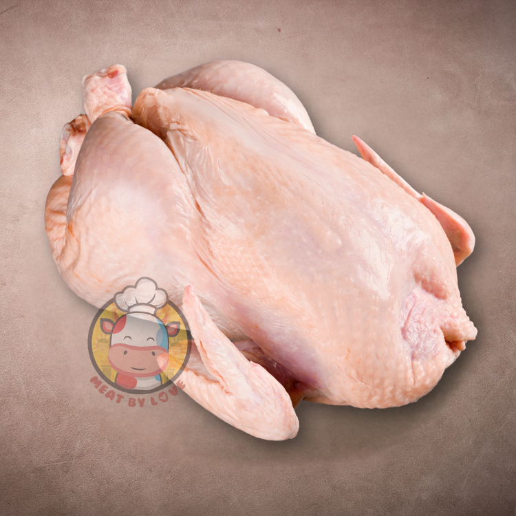 

Ayam Utuh 1 Ekor