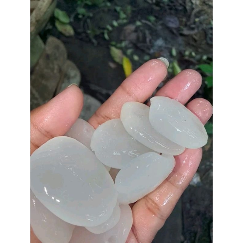 

Bisa cod! Kolang kaling super murah 1kg