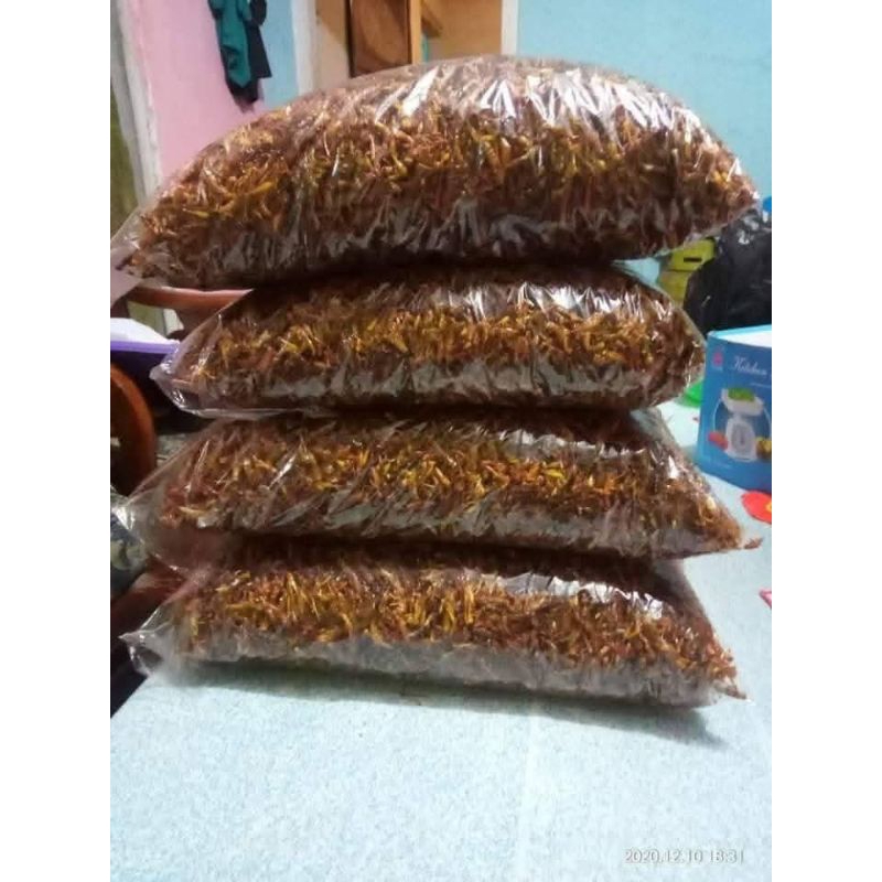 

BELALANG UTES NON BUMBU KEMASAN 1Kg