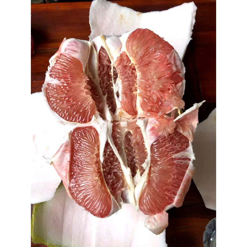 

JERUK BALI MANIS UKURAN 1,2-1,3KG GARANSI MANIS
