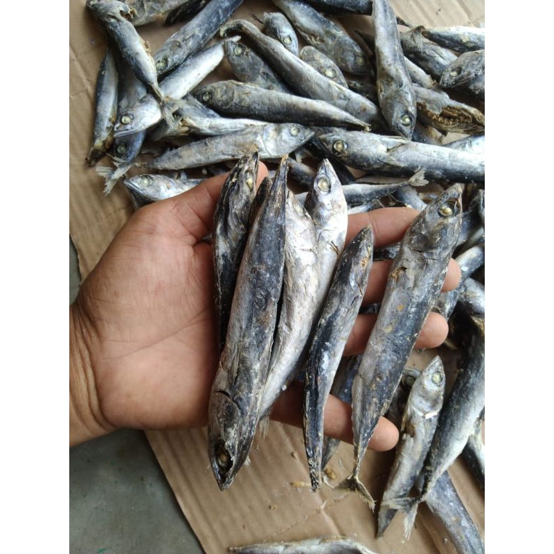 

ikan asin kualitas premium serba 10 ribu