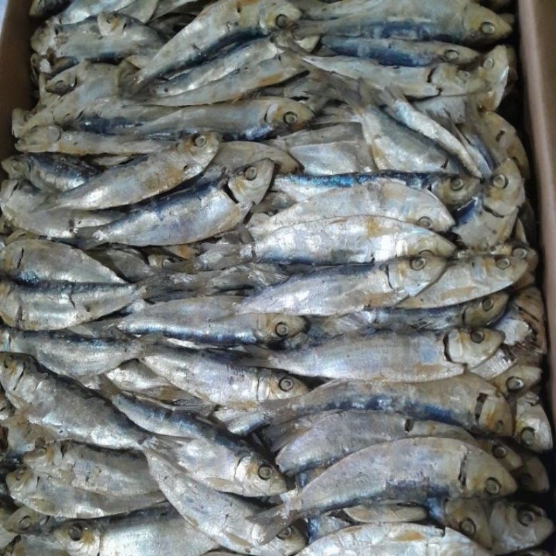 

Tanjan TBR Rebus 1 KG