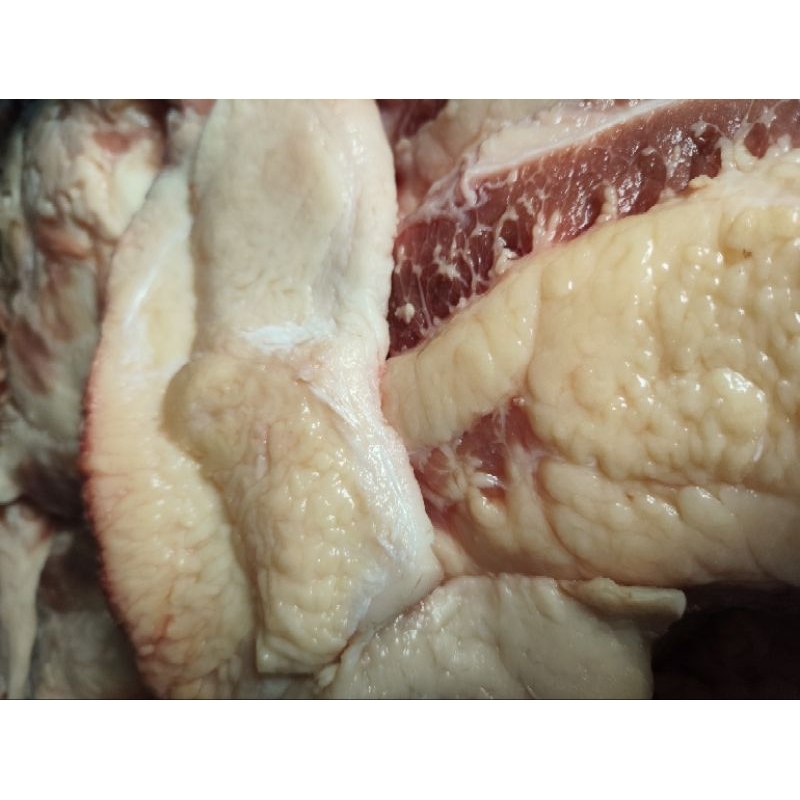 

Lemak Sapi Beku Utuh & Giling