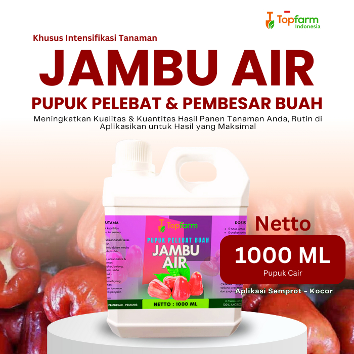 Pupuk Buah Super Lebat Jambu Air / Pupuk Buah Jambu Air Cepat Berbuah / Pupuk Buah Jambu Air Super L