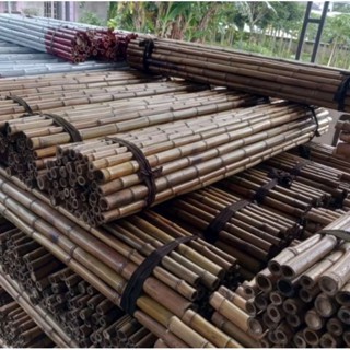 Tongkat Pramuka bambu cendani / tongkat toya bijian