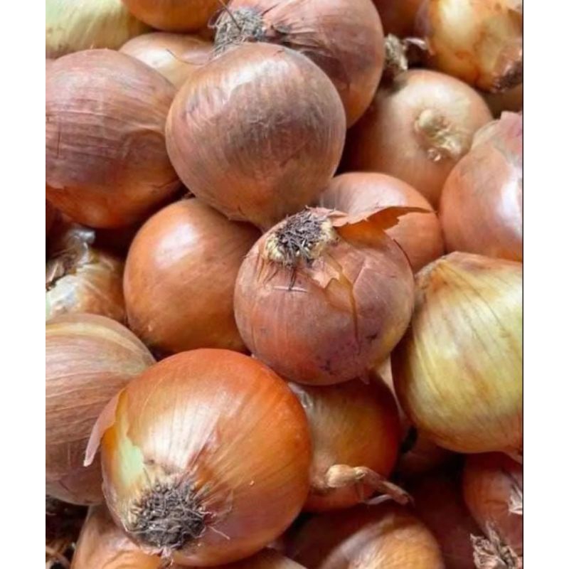 

Bawang Bombay 500 gr