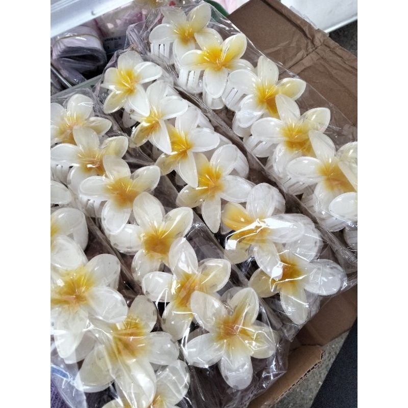 jedai bunga kamboja