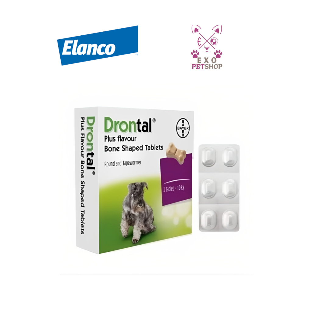 Drontal Obat Cacing Anjing