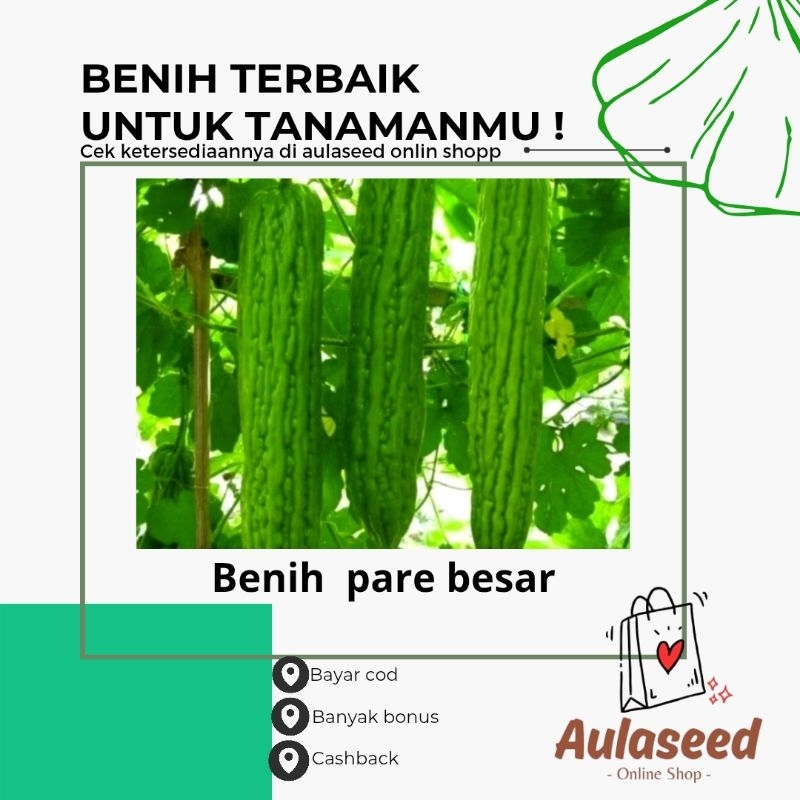 benih pare besar paket hemat 1 kg