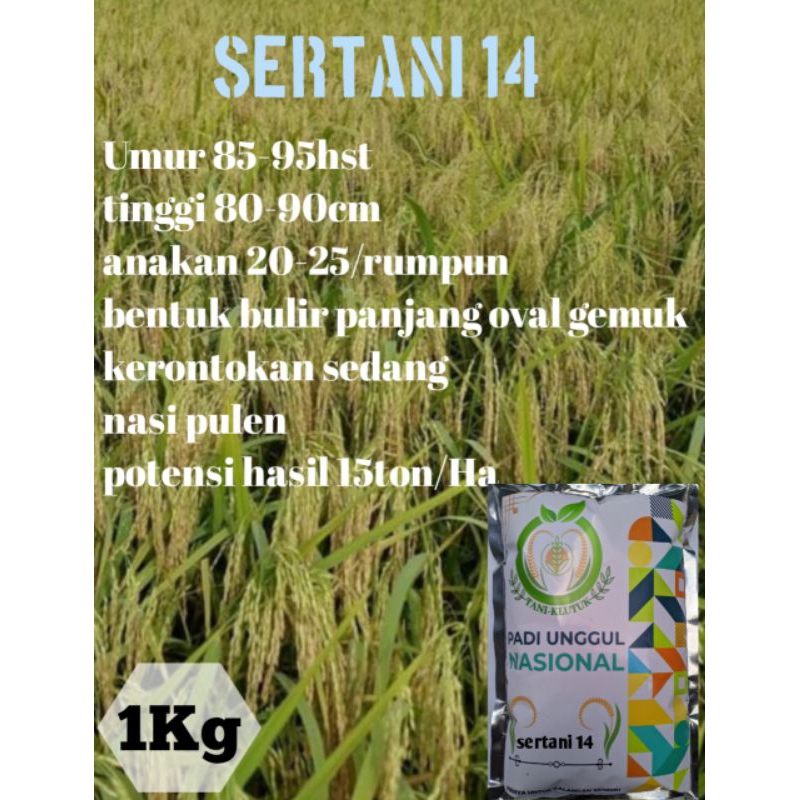 benih padi SERTANI 14 kemasan 1kilogram