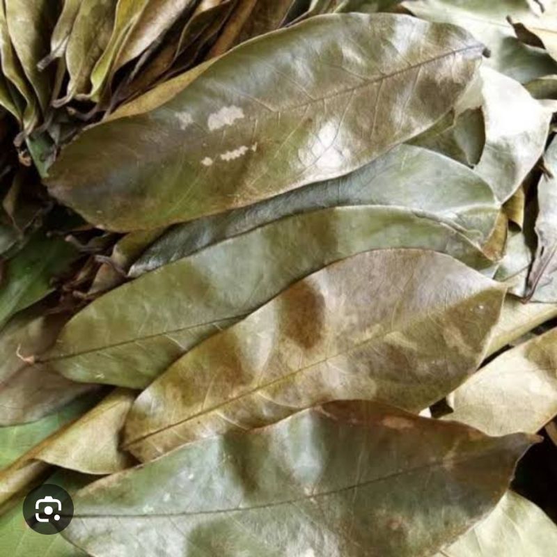 

Daun sirsak kering paket 50 lembar