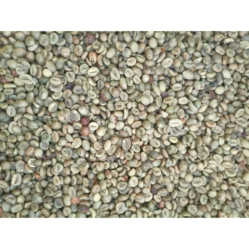 

biji kopi 50kg kering asli semende kemu ulu Sumatera Selatan