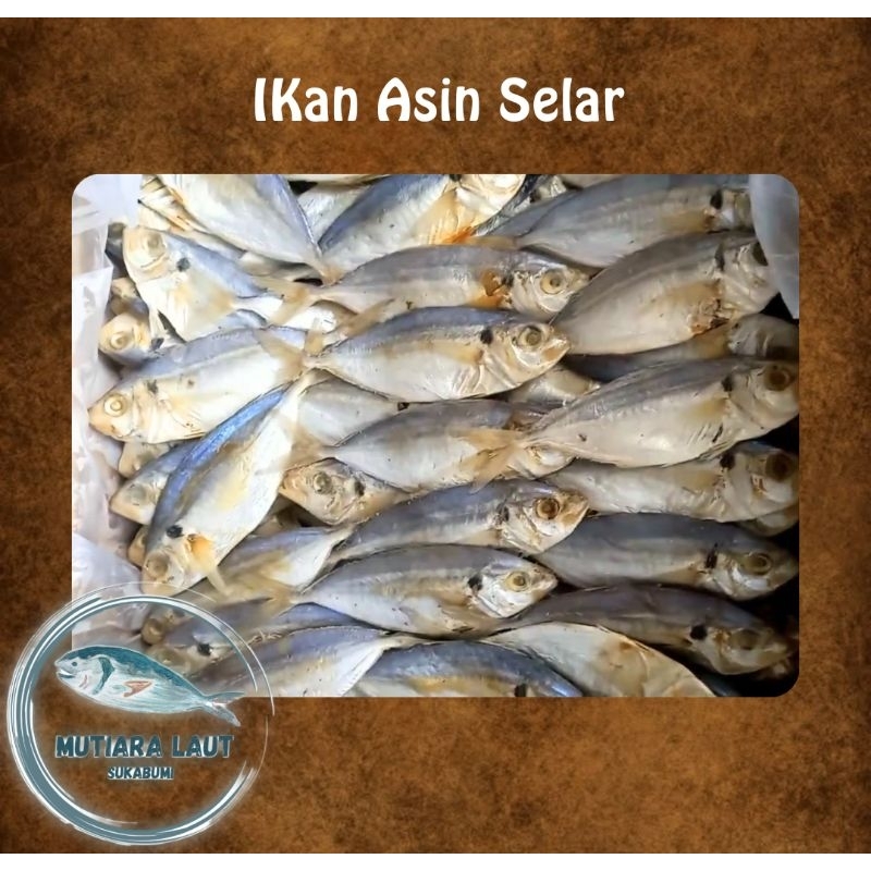 

ikan asin selar enak 250 gr