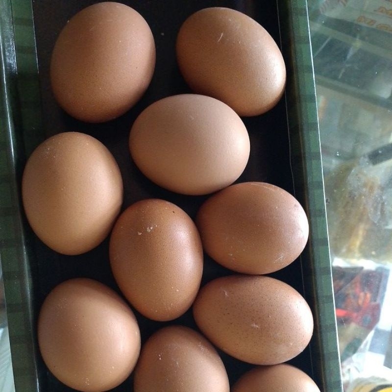 

TELUR AYAM NEGERI