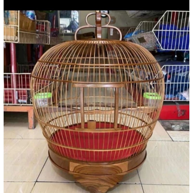sangkar burung tekukur puter pelung dll kayu jati halus terlaris