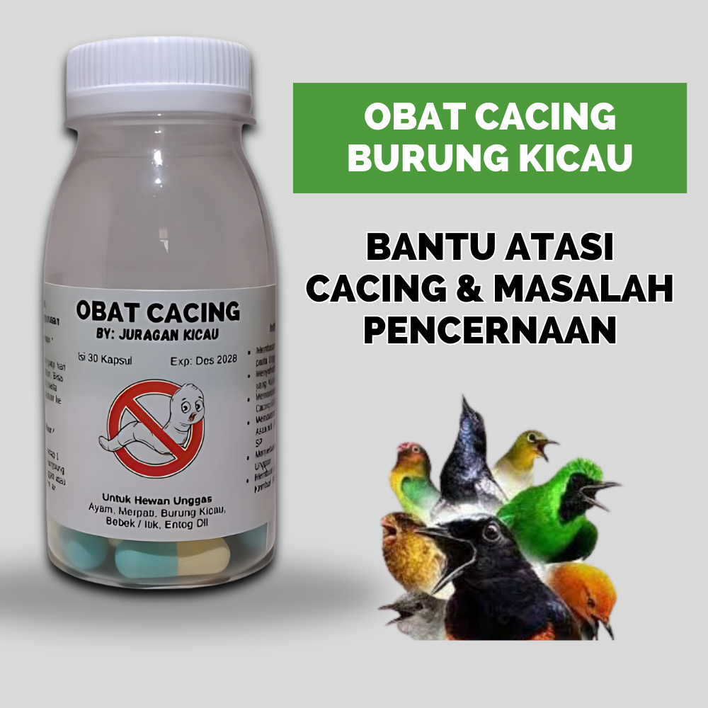 Obat Cacing Burung Kicau Mengobati Burung Cacingan Mencret Untuk Murai Sogon Perkutut Kenari Dll