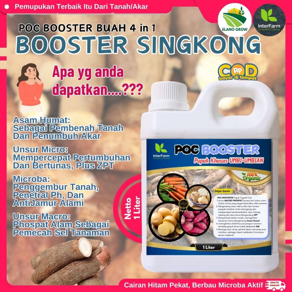 Pupuk pelebat buah singkong , Pupuk untuk tanaman singkong, Pupuk cair organik untuk ELANOGROW