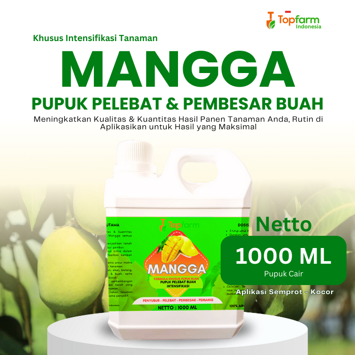 Pupuk Penguat Buah Mangga / Pupuk Pelebat Buah Mangga / Pupuk Buah Mangga Super Lebat / Pupuk Buah M