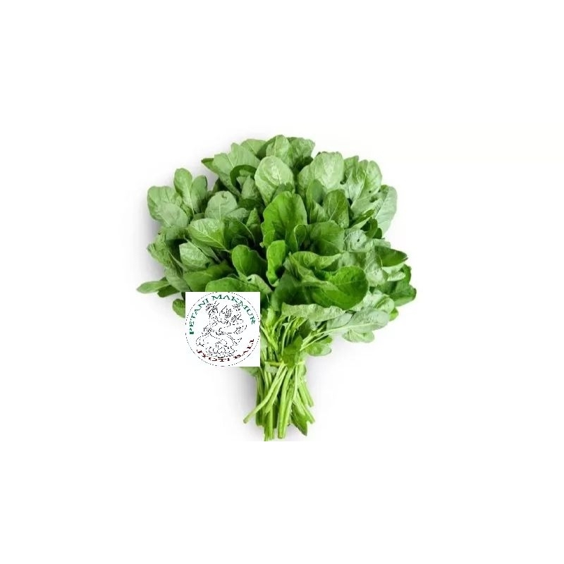 

JYOTI BAYAM POTONG 500 GR