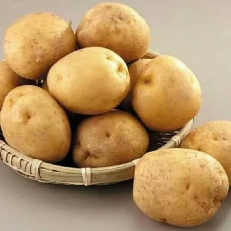 

Kentang Besar 1 Kilogram