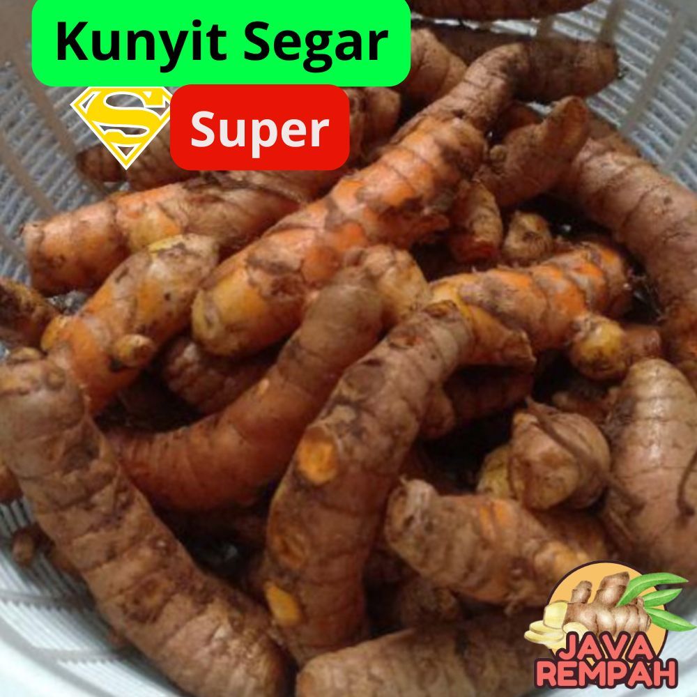 

Kunyit Kunyit Kuning Kunir Kuning Segar 1kg Bumbu Masak Dapur