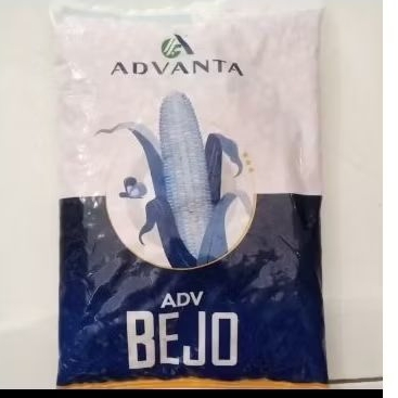 PROMO BENIH JAGUNG HIBRIDA ADV BEJO ADVANTA BEJO KEMASAN 1KG ORIGINAL