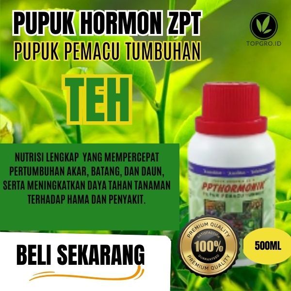 Pupuk ZPT Perangsang Bunga Akar Batang Tanaman Teh / Pupuk Hormon Pemacu Pertumbuhan Teh / ZPT Asli