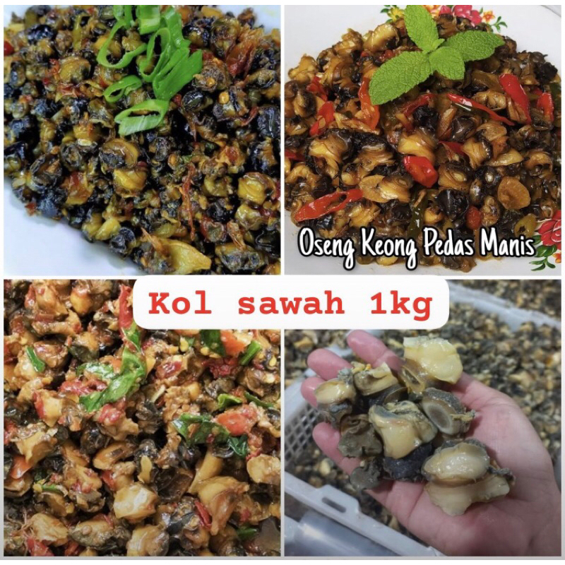 

Fresh !!! Kol Sawah 1kg