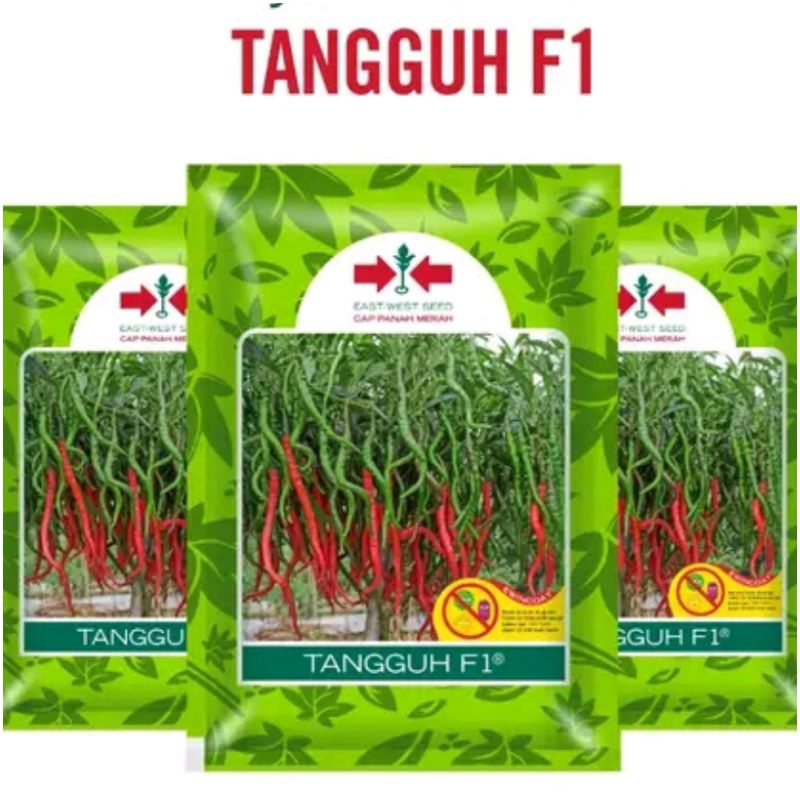 Benih Cabai Keriting TANGGUH F1